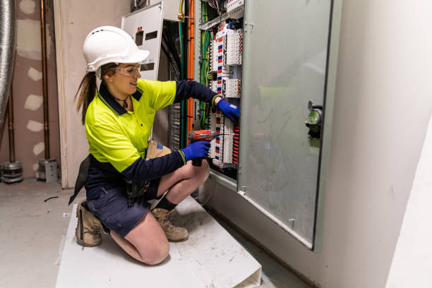 Best Electric Panel Repair  in Kaumakani, HI
